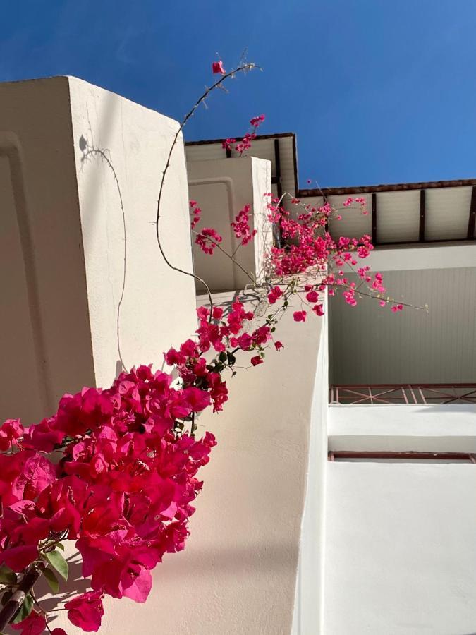 Gardenia Studios 奈德里 外观 照片